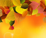 Autumn Background with Leaves